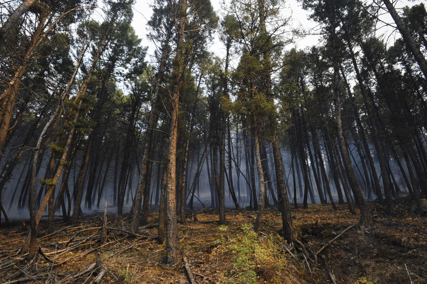Roughly one hundred personnel and multiple aircraft help battle a lightening caused fire south of Helena Thursday afternoon.